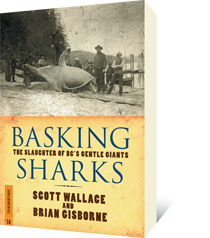 Basking Sharks by Scott Wallace, Brian Gisborne