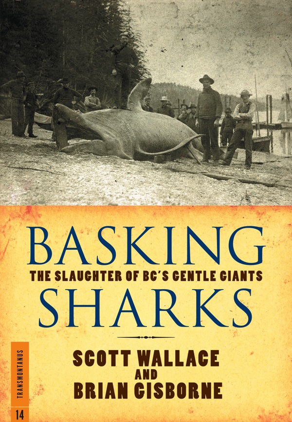 Basking Sharks by Scott Wallace, Brian Gisborne