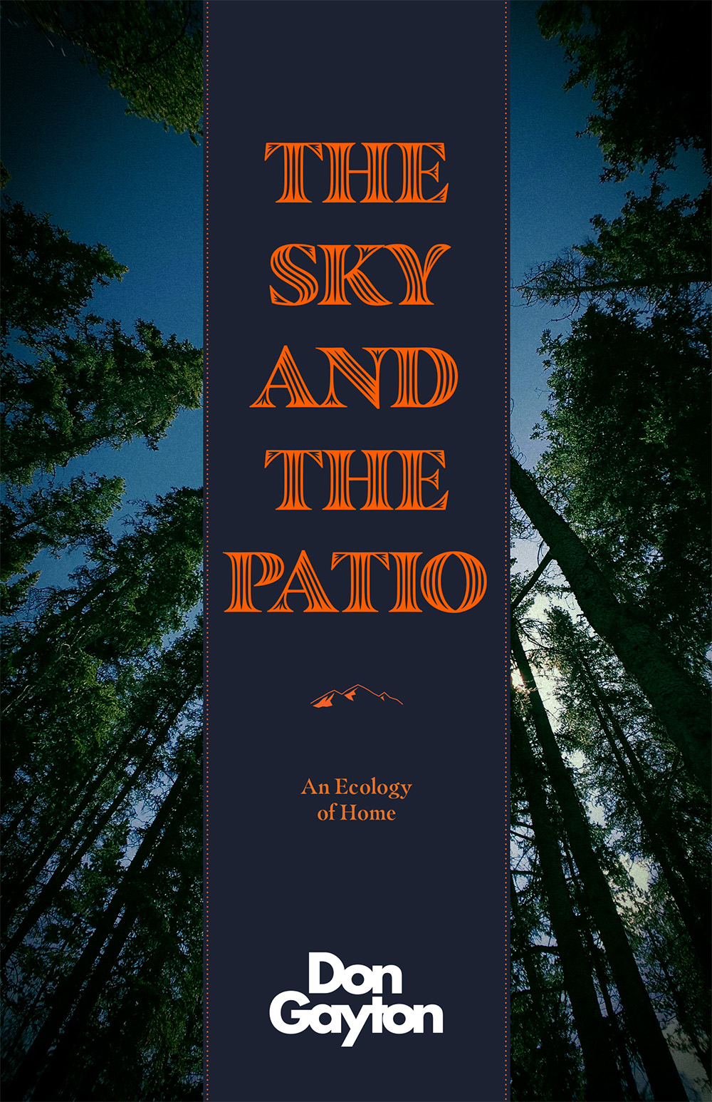 The Sky and the Patio by Don Gayton